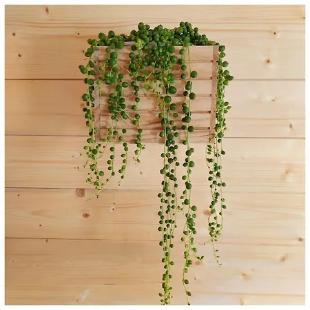 La Casina Couette-café 3*